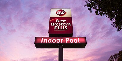 Printable Translucent Films
