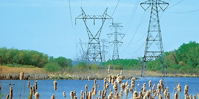 Permitting in Environmentally Sensitive Areas
