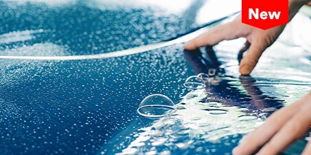 gloss and matte finish ppf wrap
